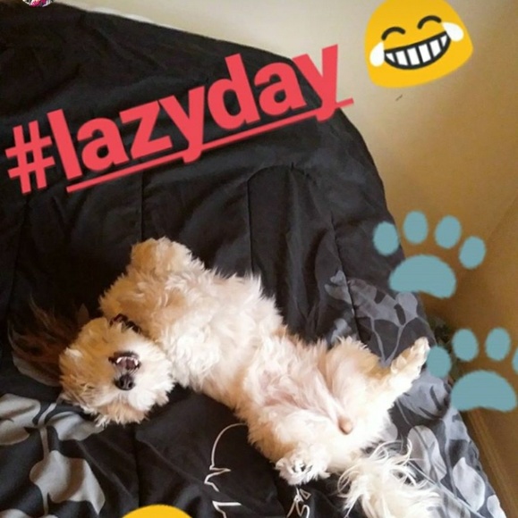 Follow me on Instagram⨠- Picture 5 of 7